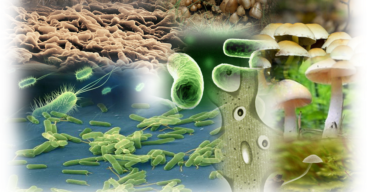 Hasta los mas pequeños son importantes. Ya que de algunos de ellos desandemos.